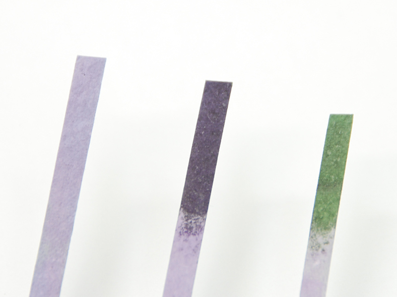 ヒロセ ヤマトヨハイローズ